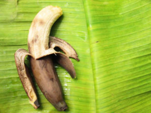 Rotten-bananas-on-a-banana-leaf