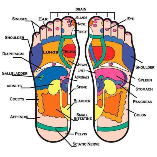 What is Foot Reflexology? — Healthdigezt.com